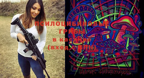 прущая мука Медногорск