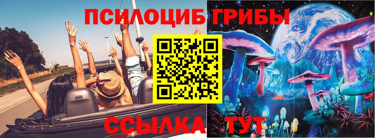 Галлюциногенные грибы Magic Shrooms  Вход с VPN  как найти закладки  Лениногорск 